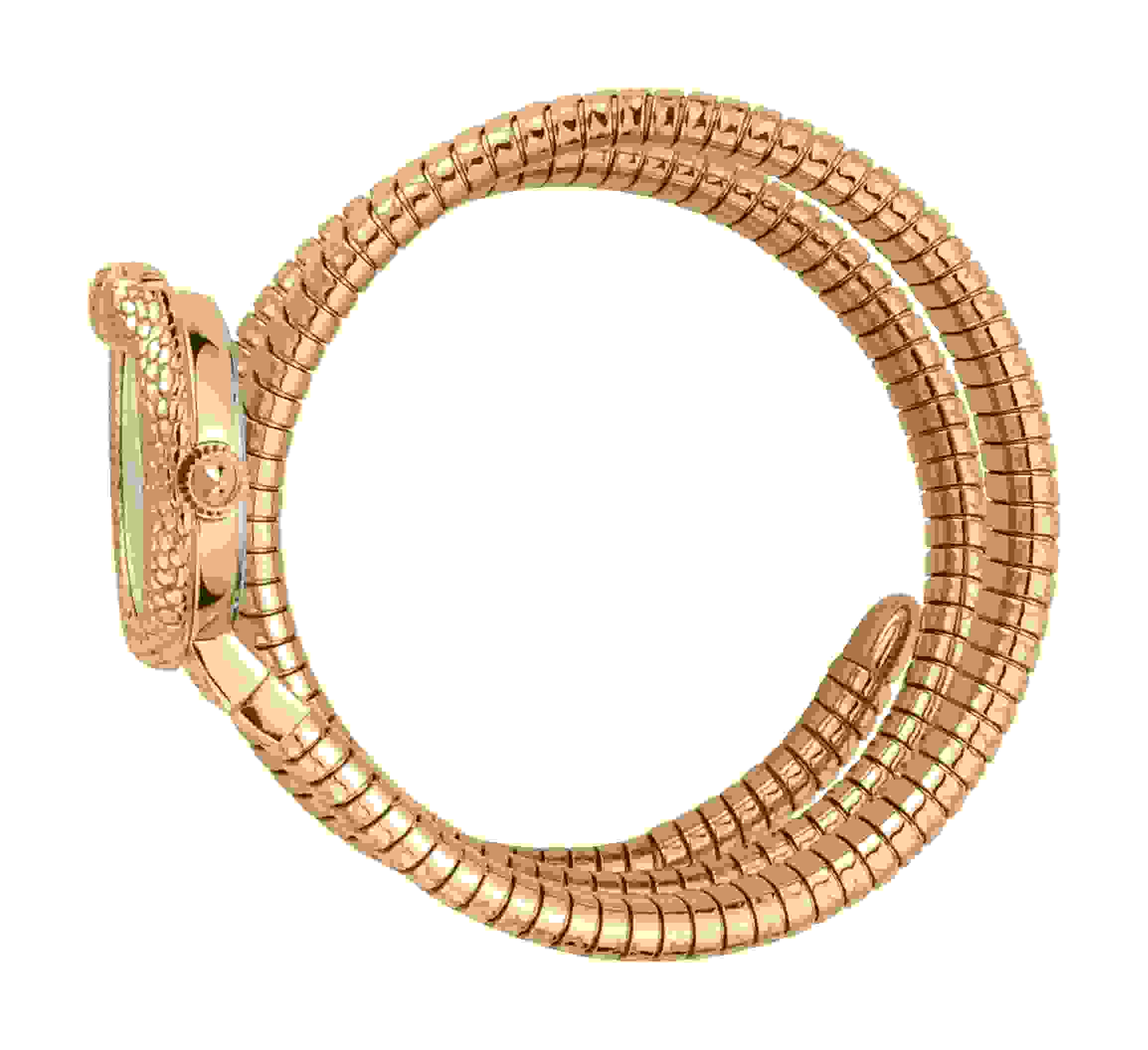 Just Cavalli Signature Snake Watch Gold/Gold JC1L162M0025